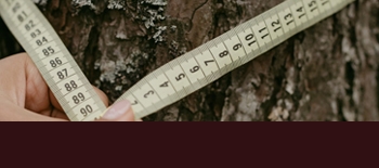 Sizing Guide